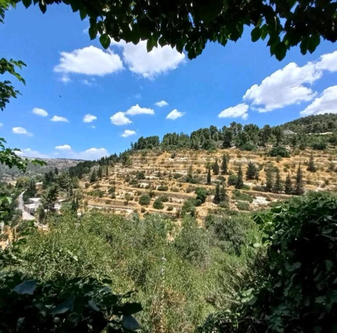 View Of The Valley Guest House Jerusalem Eksteriør billede