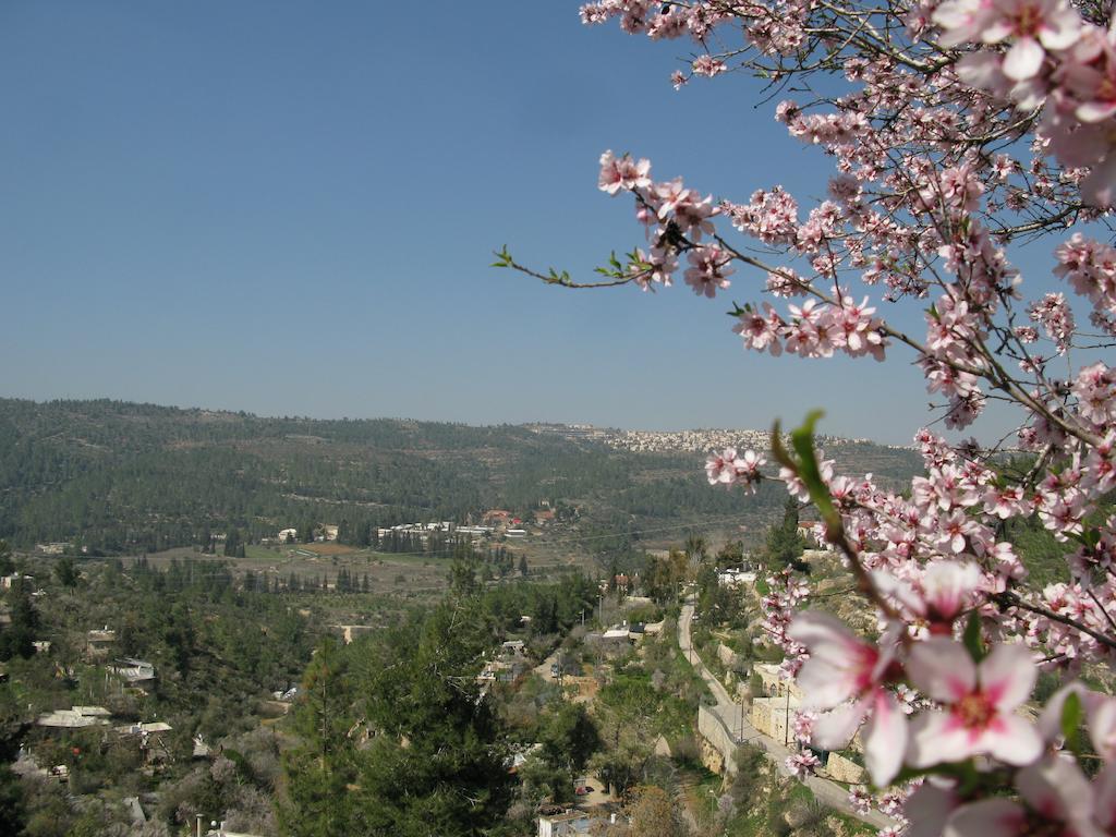 View Of The Valley Guest House Jerusalem Eksteriør billede